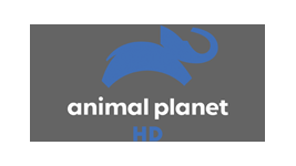 Animal Planet HD Online